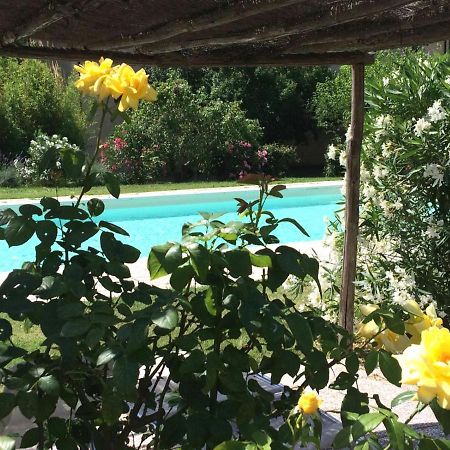 Agriturismo Lupo Vecchio Grosseto Eksteriør bilde