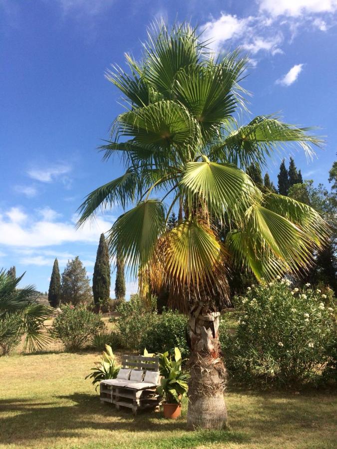 Agriturismo Lupo Vecchio Grosseto Eksteriør bilde