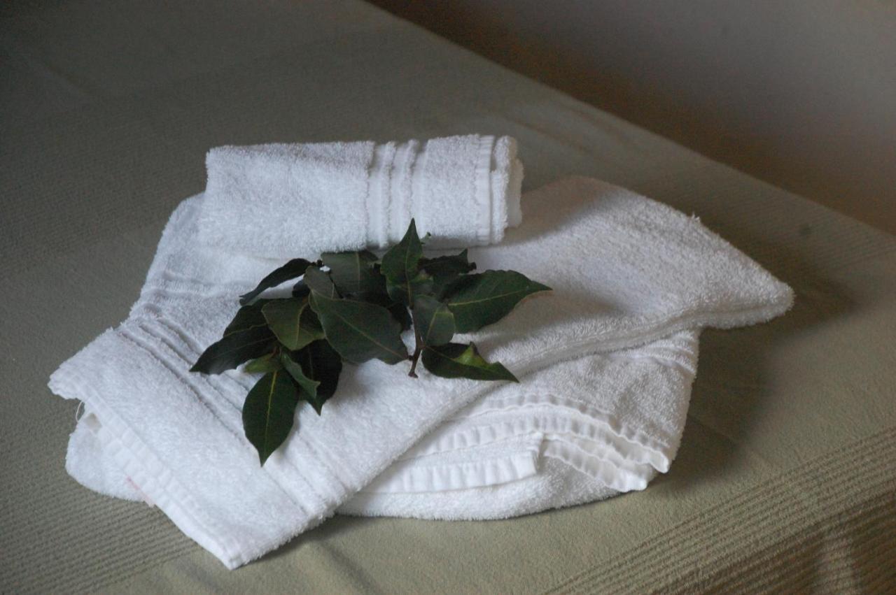 Agriturismo Lupo Vecchio Grosseto Eksteriør bilde