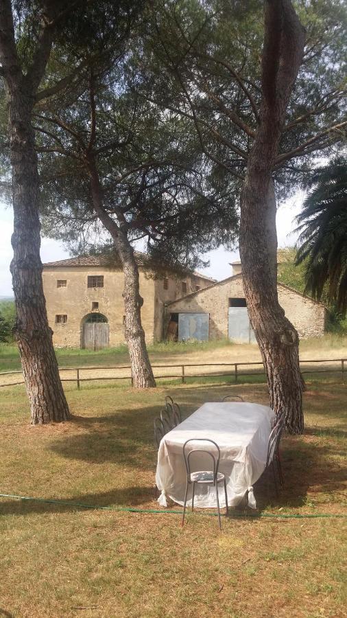 Agriturismo Lupo Vecchio Grosseto Eksteriør bilde